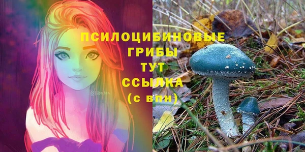 а пвп мука Арсеньев