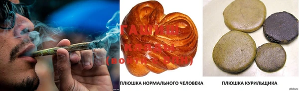 PSILOCYBIN Аркадак