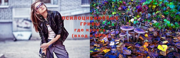 mix Армянск