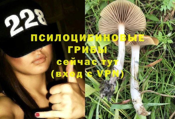 PSILOCYBIN Аркадак