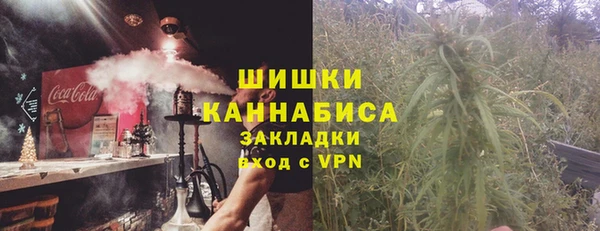 PSILOCYBIN Аркадак