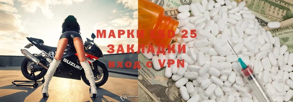 PSILOCYBIN Аркадак