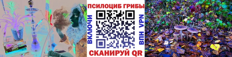 Купить где  Чердынь  Галлюциногенные грибы Cubensis 